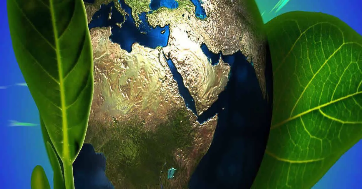 Cursos Online Com Certificado na área de Meio Ambiente